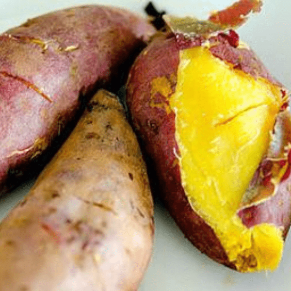 Rice Cooker Magic; 10 Other Ugandan Foods You Can Make Using A Rice Cooker - Boiled Sweet Potatoes Lumonde Rabwo Embooli -